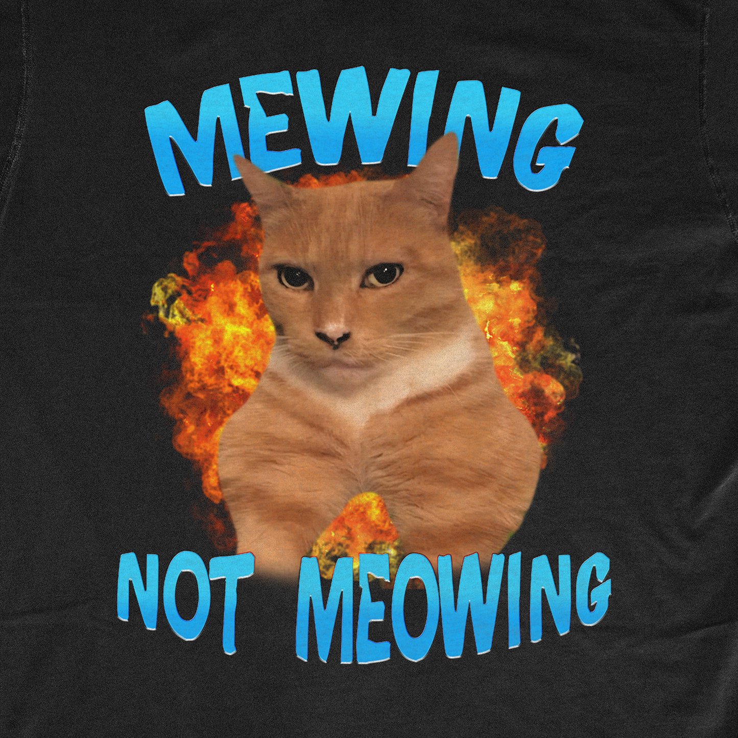 MEWING NOT MEOWING