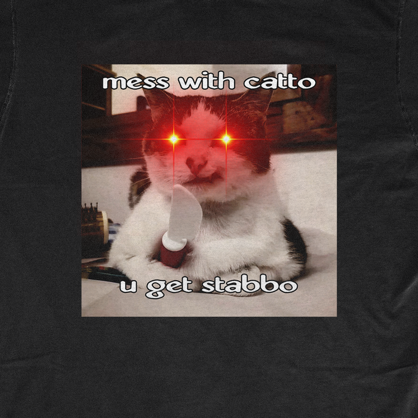 MESS WITH CATTO